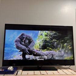 55 Inch TvNot A Smart Tv. I Use Fire Stick