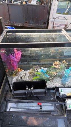 Fish water tank