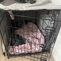 Dog Crate 