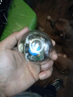 Sphero Bolt 