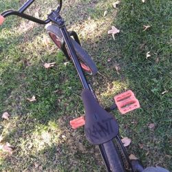 Custom Eastern BMX 20 In