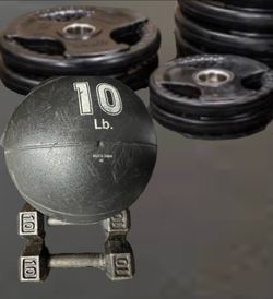 10 Lb Dumbbells, 10 Lb Med Ball,  Olympic plates