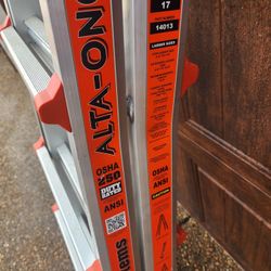 *** LITTLE GIANT LADDER ***