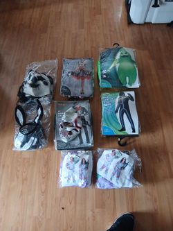 Clown with outfit/day of the dead his &hers/Playboy Bunny/80'sHis&Hers/Green childs/Stick man childs