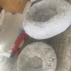 Dog Beds Sm $15 - Lg $25 Or $35 Both