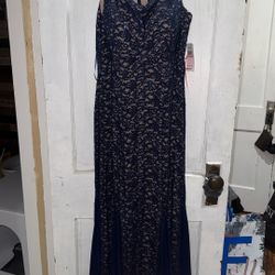 Long Navy/Nude Dress