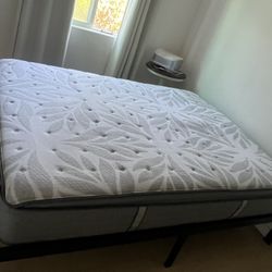 Beautiful Bed