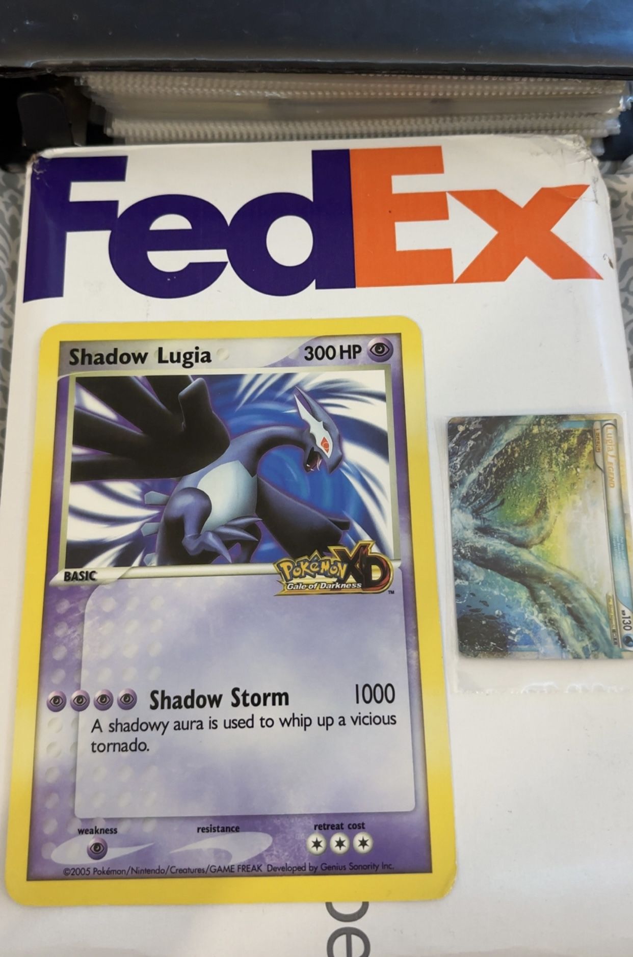Shadow Lugia Nintendo 2005 World Promo Jumbo Card