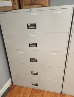 2 File Cabinets $100