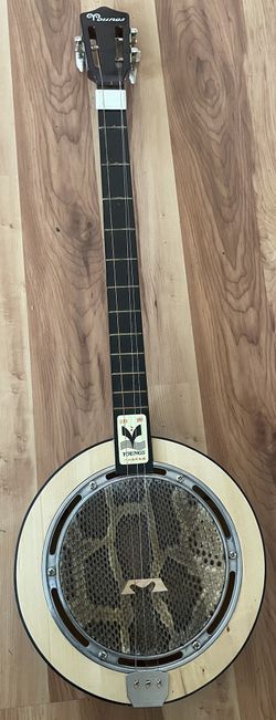 Yueqin Chinese Stringed Instrument