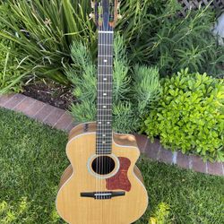 TAYLOR Nylon String Acoustic Electric With Custom Features 