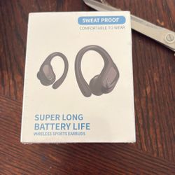 Ear Buds