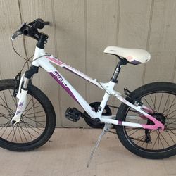 20" Haro BMX Bike