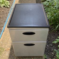2 Drawer metal  file Cabinet Studio RTA 15 1/2"W x 21 3/4"D x 22 1/4"H 2 Slot CD Storage Drawer Letter/Legal Size File Drawer Casters for Mobility acc