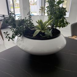  New White Fiberglass Pot With Plants