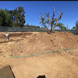 Free Clean DIRT