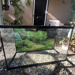 Reptile/Fish Tank
