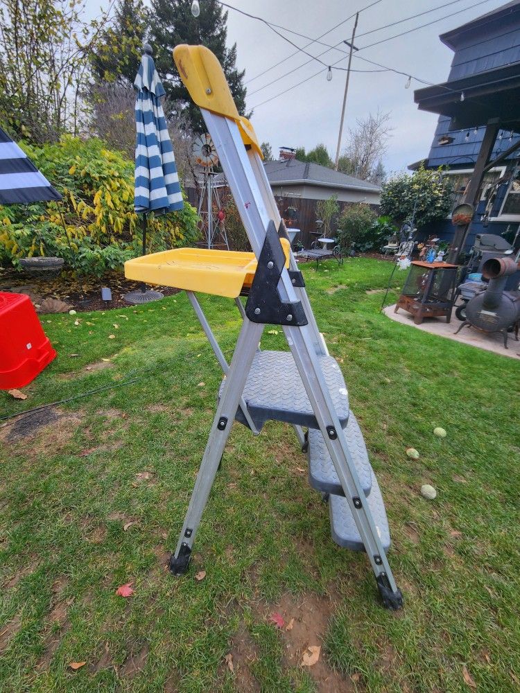 5 foot painters ladder