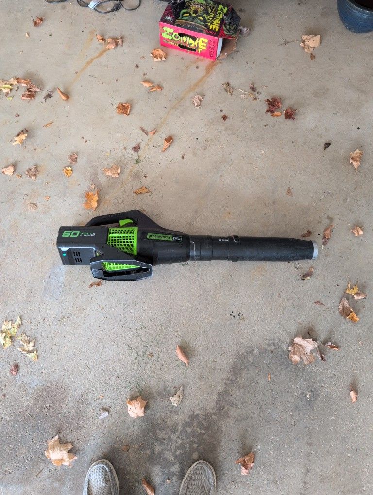 Greenworks Pro Leaf Blower