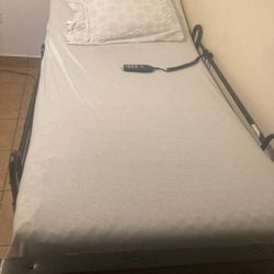 Hospital BED