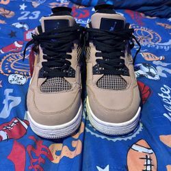 Jordan 4s
