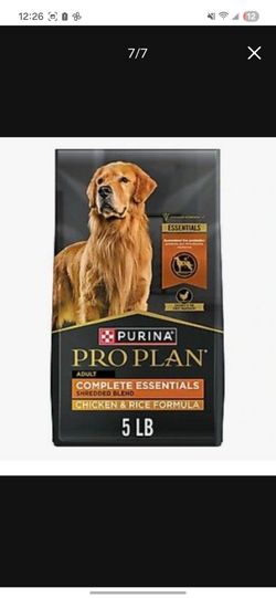 Premium Dry And Wet Dog Food  Half Off Price