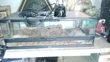 Snake Enclosure