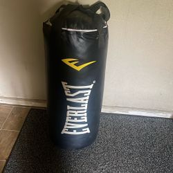 Everlast Punching Bag
