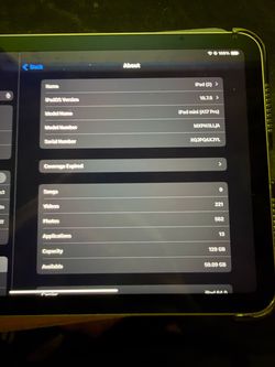 iPad mini WiFi + cellular