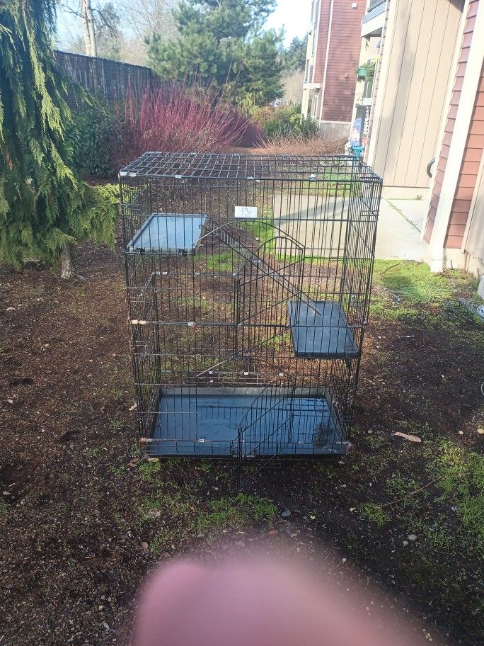 Bird, Ferret Cage.