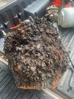 200lb Cherry Burl Log - Raw Wood Turning Blank 23"