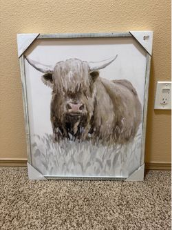 Highland Cow Art