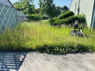 Free Grass