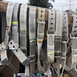 Buckle Straps 