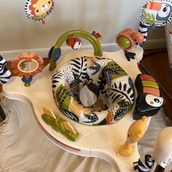 Fisher Price Bouncer