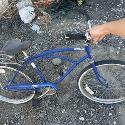Blue Beach Cruiser