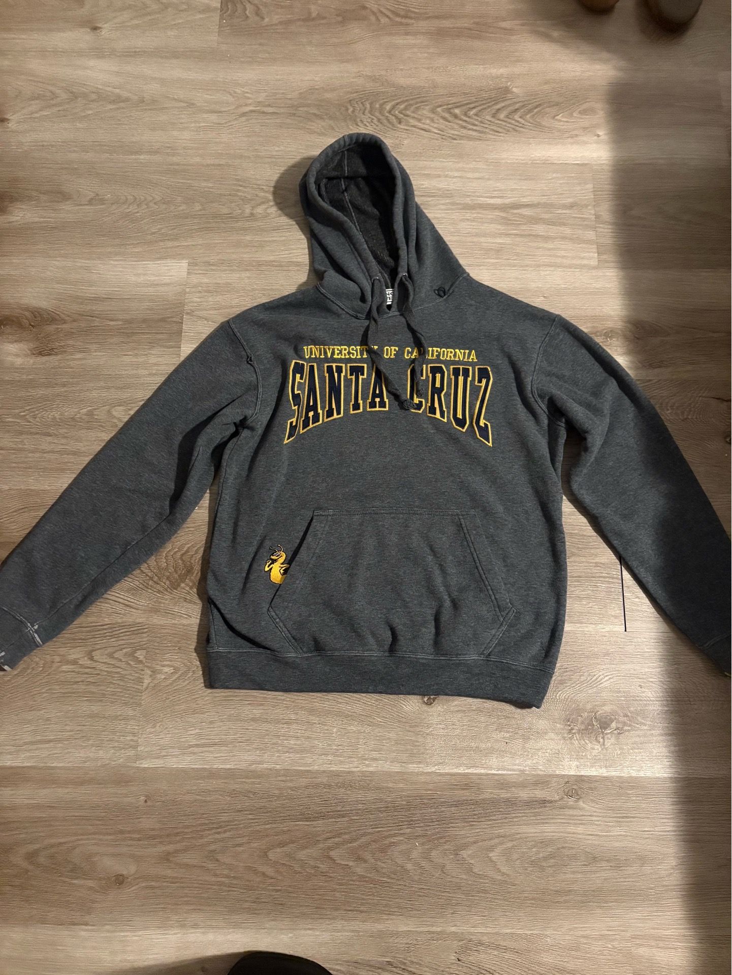 charcoal gray University of California Santa Cruz hoodie