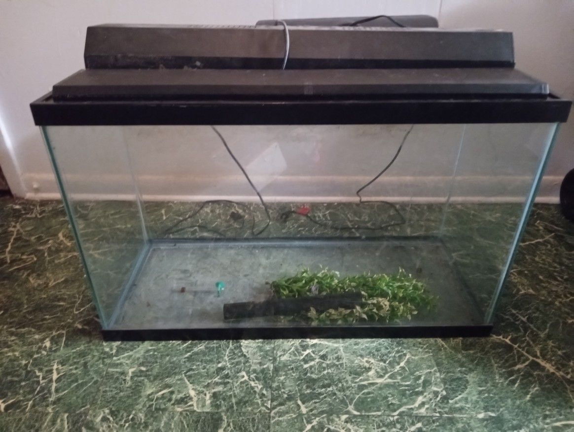 20 Gallon Fish Tank +Extras