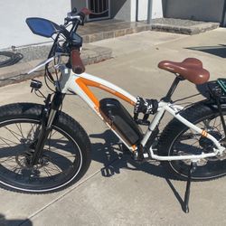 Radrover Fat Tire Electric Bike