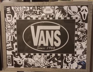 Vans pic