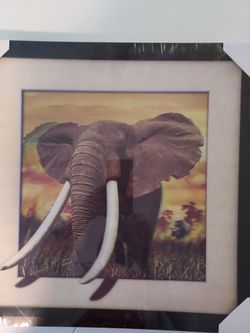 Brand New Elephant 3D