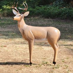 3D Archery Target Blacktail Deer