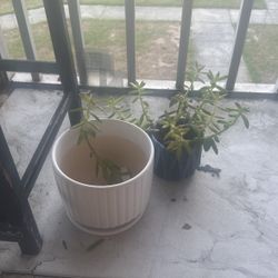 Two Pots 