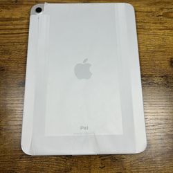 Ipad 10th Generation 256GB “Silver” Wifi  New (No Box)