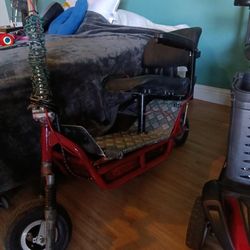 Electric Bad A Scooter