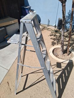 6ft Ladder