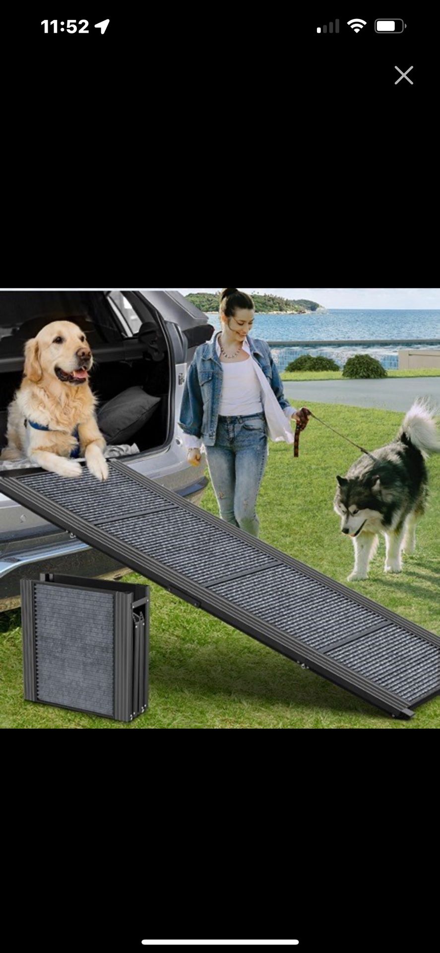 Ramp For Pets
