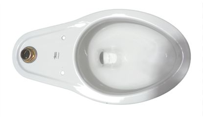 American Standard Madera elongated toilet bowl.  It is a floor-mounted, commercial-grade toilet bowl designed for use with a flu