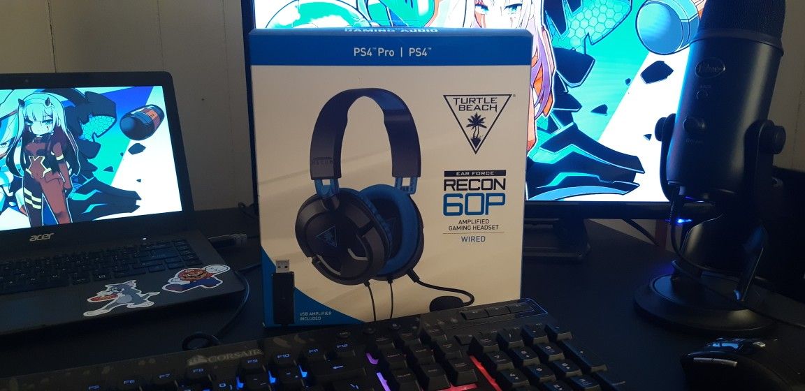 Turtle Beach headphones