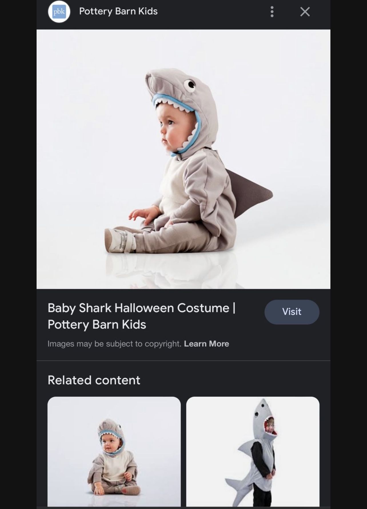 POTTERY BARN HALLOWEEN COSTUME